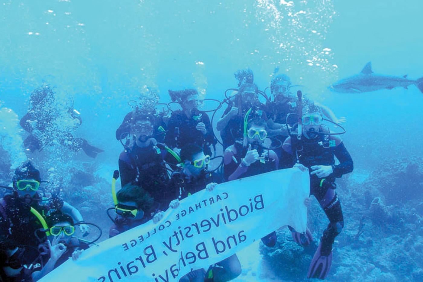 Students on the J-Term study tour Biodiversity, Brains and Behavior encounter a shark underwater in Honduras.